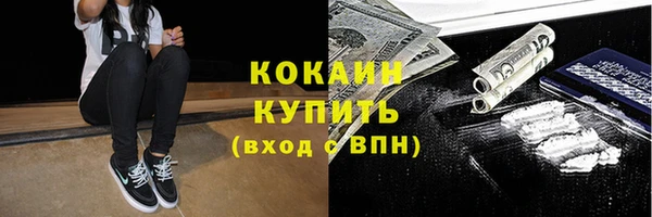 стаф Покровск