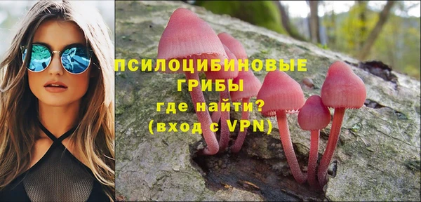 стаф Покровск