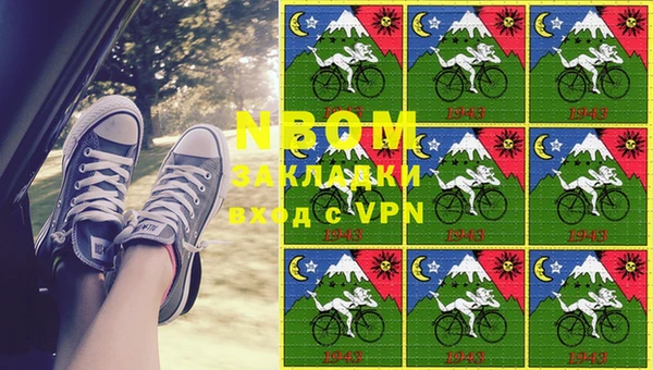 стаф Покровск