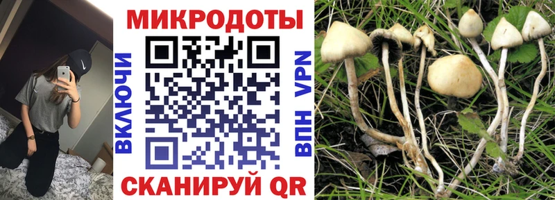 Псилоцибиновые грибы Magic Shrooms  Подольск 