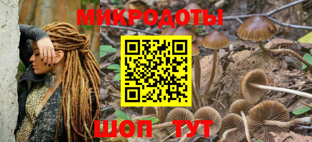 Подольск  купить  цена  Вход с VPN  Псилоцибиновые грибы мухоморы 
